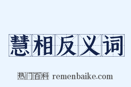 慧相反义词是什么意思的图片